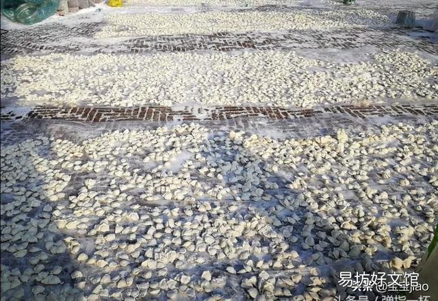 哪个省的人最爱吃饺子？