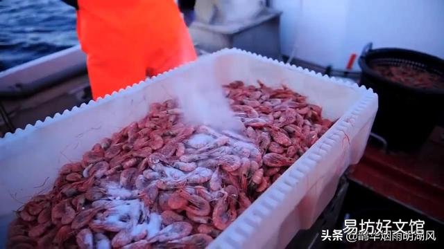 北极的海鲜捕捞上来,为什么是先煮熟再冷冻?