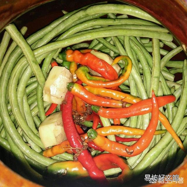 靠山吃山,靠海吃海,什么美食是你每天必吃却又总吃不腻的?