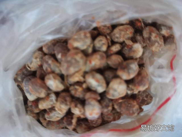 有哪些你认为十分美味,但外乡人吃不惯的家乡美食?