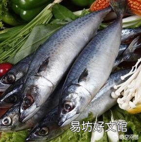 青岛美食,鲅鱼与鲐鲅鱼之争,到底该如何区分呢?