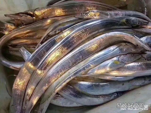 鲳鱼有多少种?如何挑选?做法有哪些?