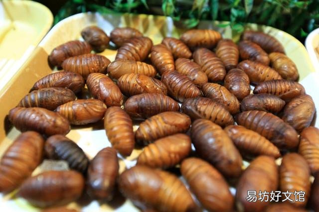 你接受不了而且吃不下的食物是什么?