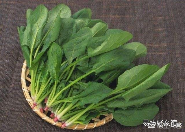 怎么把“春天的味道”吃进肚里?
