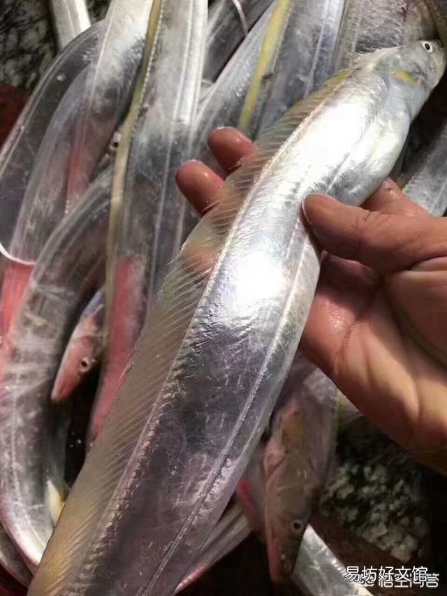 中国哪个地方的海鲜最好吃?