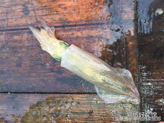 中国哪个地方的海鲜最好吃?