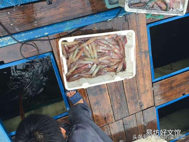 中国哪个地方的海鲜最好吃?