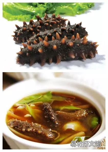 中国哪个地方的海鲜最好吃?