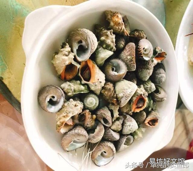 中国哪个地方的海鲜最好吃?