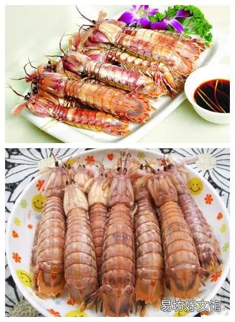 中国哪个地方的海鲜最好吃?