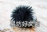 大家吃过最奇葩的海鲜是什么?