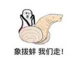 大家吃过最奇葩的海鲜是什么?
