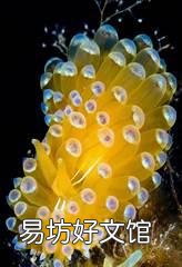 大家吃过最奇葩的海鲜是什么?