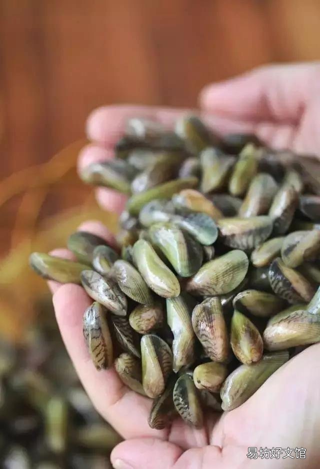 大家吃过最奇葩的海鲜是什么?