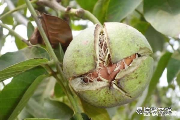 在哪里可以买到大量正宗的特产呢?可以分享一下你们家乡的美食和特色吗?