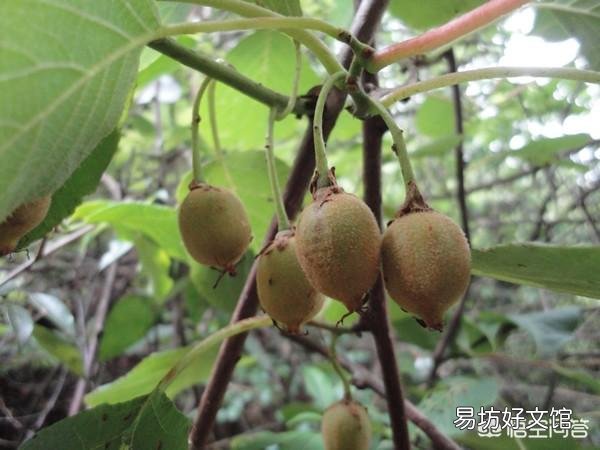在哪里可以买到大量正宗的特产呢?可以分享一下你们家乡的美食和特色吗?