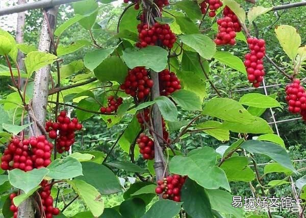 在哪里可以买到大量正宗的特产呢?可以分享一下你们家乡的美食和特色吗?