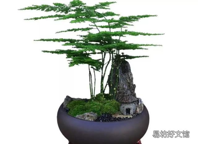 2000到3000的工资,对现在的年轻人是什么样的概念?