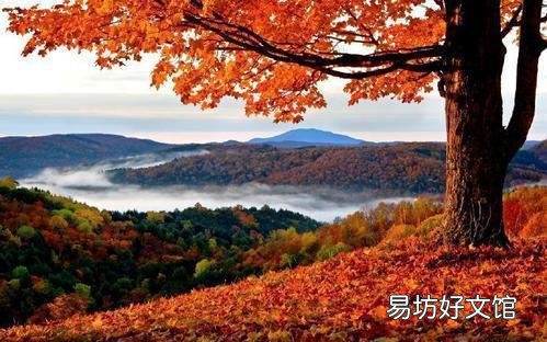 香山红叶最佳观赏期是什么时候