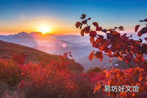 香山红叶最佳观赏期是什么时候