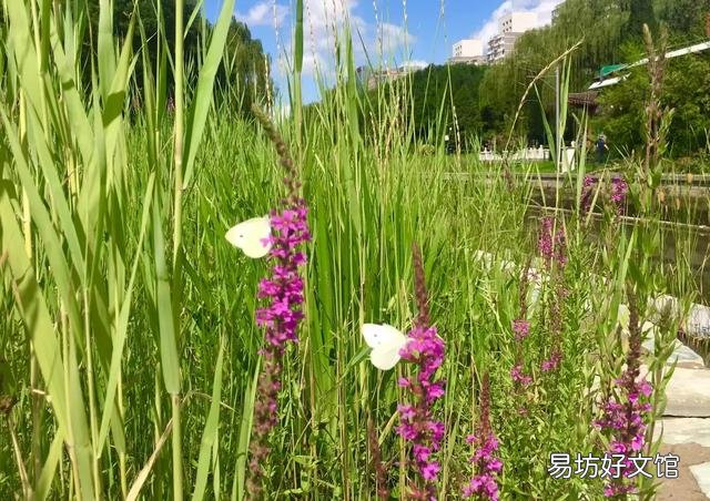 退休人员的养老金现在都是什么水平?低于3000元的人多不多?