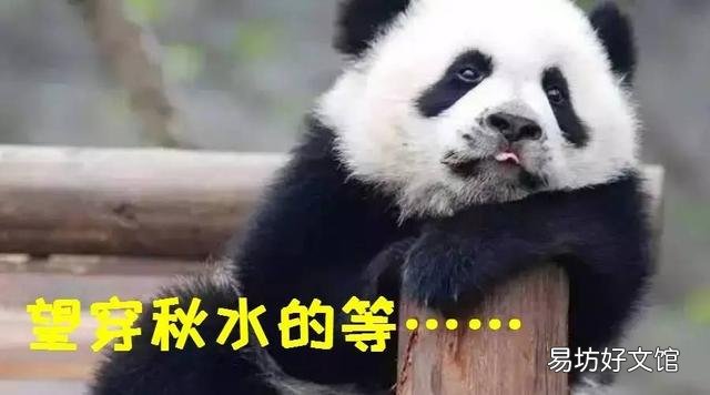 还有不到两年时间退休,但剩下来的时间很难熬,我该如何度过剩下这一年?