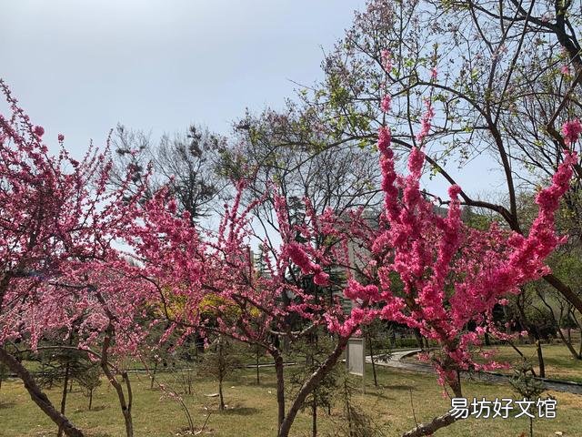 教师在职与退休工资落差为什么那么大？是不是全国现象？