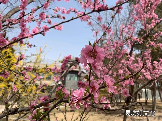 教师在职与退休工资落差为什么那么大？是不是全国现象？