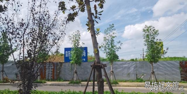 余额宝最多可以放多少钱吃利息,余额宝到底安不安全?