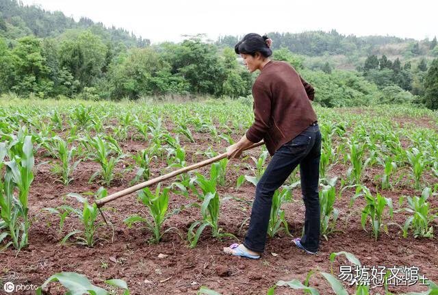 有新农合，有的农民生病却总去小门诊看，为什么不去医院？