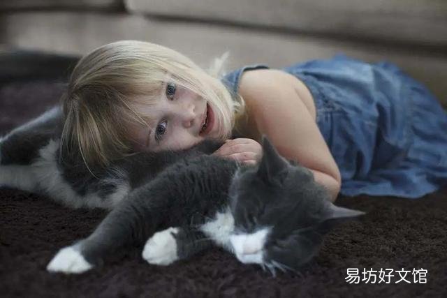 猫斑秃和猫癣的区别(猫咪斑秃不是猫藓)