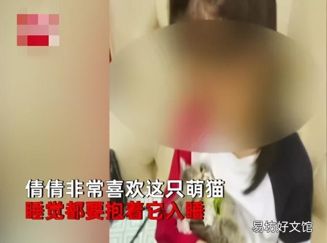 猫斑秃和猫癣的区别(猫咪斑秃不是猫藓)