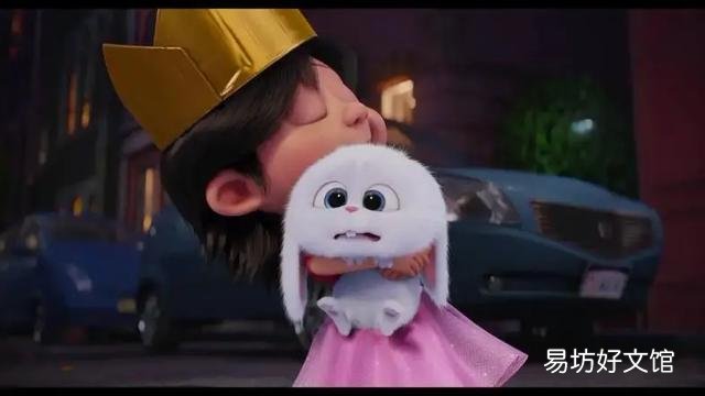 猫斑秃和猫癣的区别(猫咪斑秃不是猫藓)