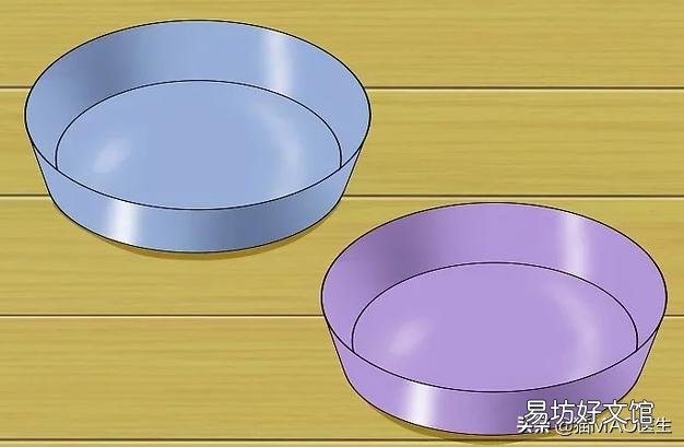 小猫多大可以断奶(小猫多大可以断奶吃猫粮)