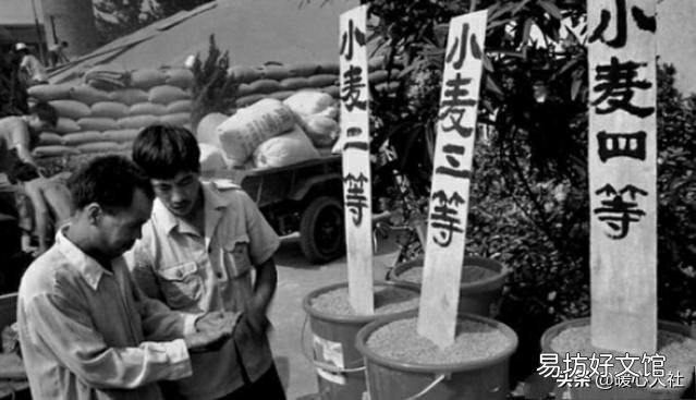 交过公粮65岁能领多少钱呢?