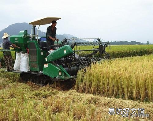 中国农民如果没有退休金、养老金，不种地了，中国会怎样？