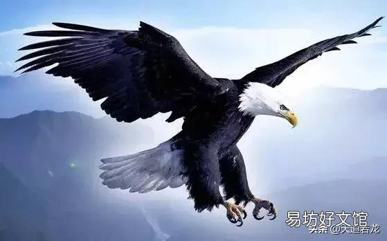 34岁女性辞职离开没有社保没有前途的工作是对的吗？