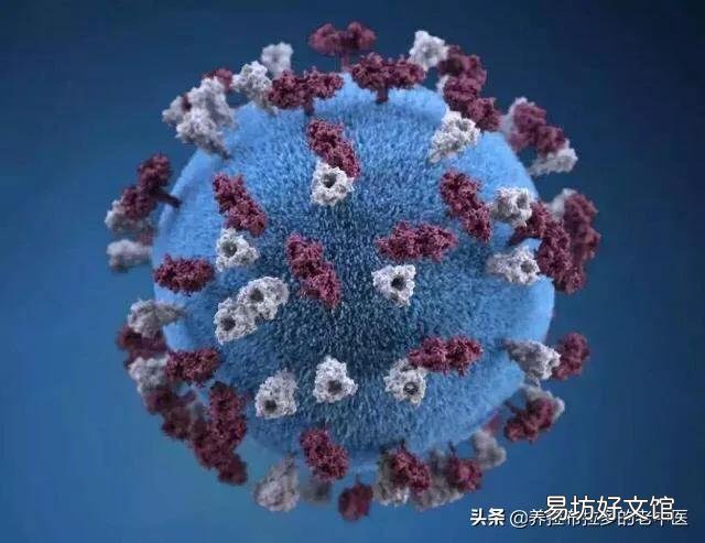 专家预测2020年这次疫情闹多久?