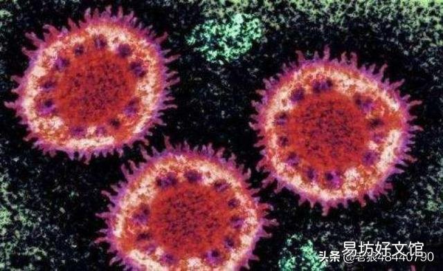 美国疫情大爆发已经不可阻挡了吗?