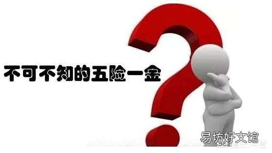 单位只给员工交五险不交一金，单位违法吗？