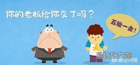 单位只给员工交五险不交一金，单位违法吗？
