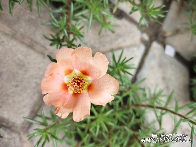 你身邊有哪些節儉的人？這些人是怎么節儉的？