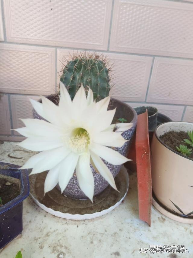 你身邊有哪些節儉的人？這些人是怎么節儉的？