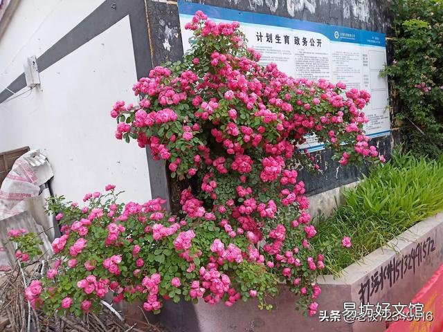 你身邊有哪些節儉的人？這些人是怎么節儉的？