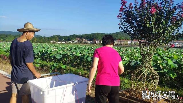 从单位里退休以后,是在家休息好,还是趁着身体健康,再找份工作的好,对此你怎么看?