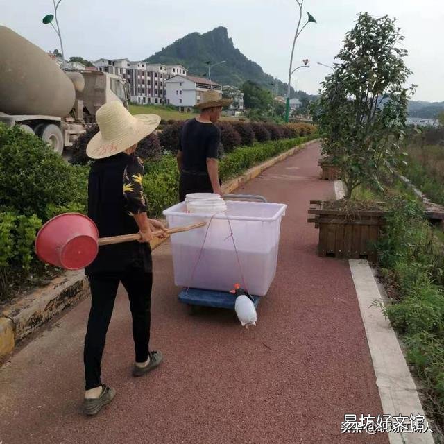 从单位里退休以后,是在家休息好,还是趁着身体健康,再找份工作的好,对此你怎么看?