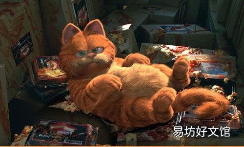 猫咪大全(猫咪大全介绍)
