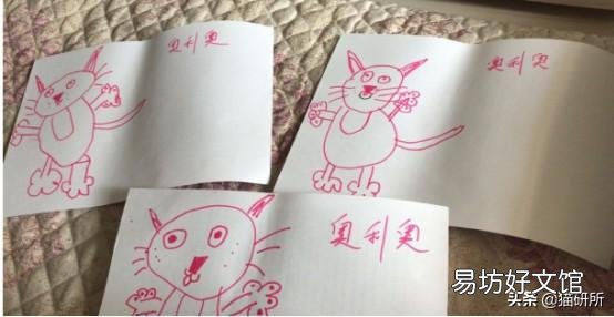 猫弓形虫吃什么驱虫药(猫弓形虫如何传染给人)