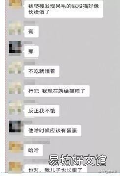 猫弓形虫吃什么驱虫药(猫弓形虫如何传染给人)