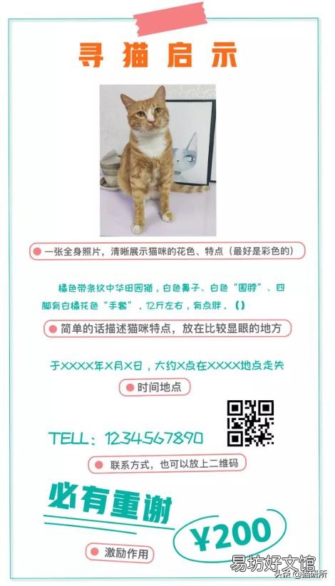 猫弓形虫吃什么驱虫药(猫弓形虫如何传染给人)